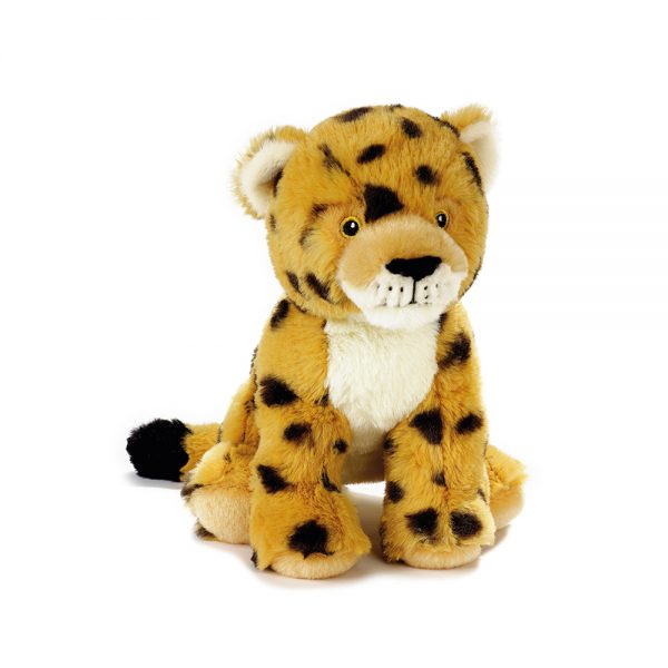 800064
